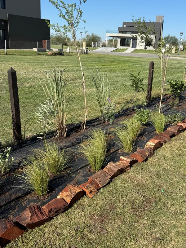 Hilera de gramíneas recién plantadas a lo largo del alambrado