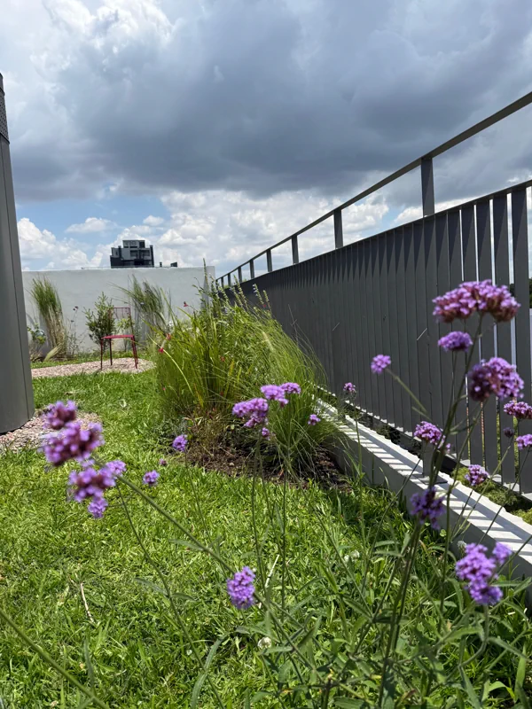 Verbenas a lo largo de la baranda gris sobre el césped de una terraza